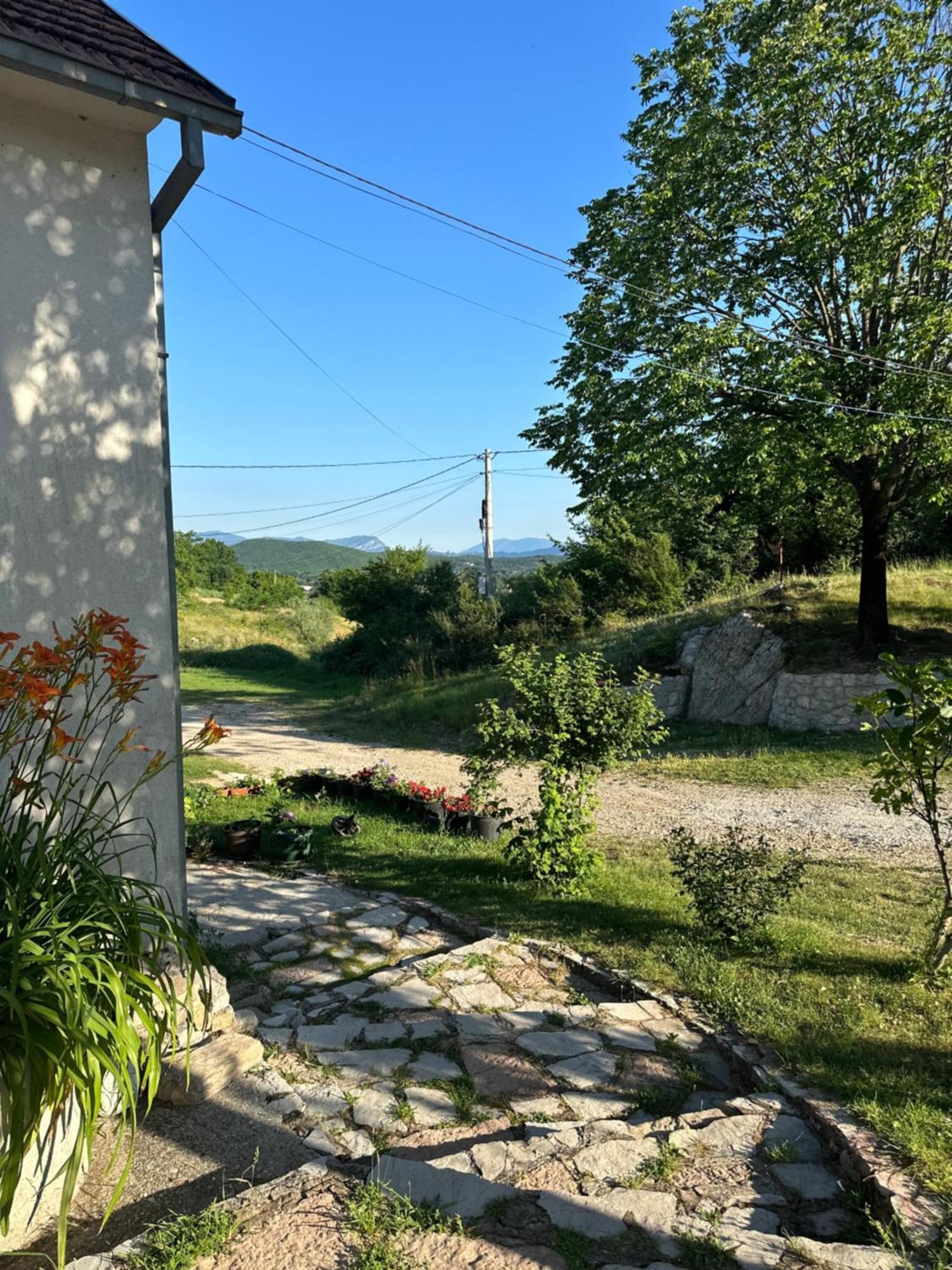Gazdinstvo Tadic Vendégház Nikšić Kültér fotó